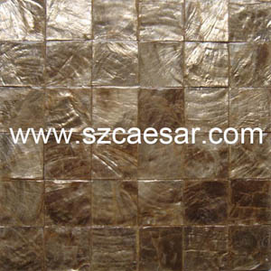 natural capiz shell mosaic tile - L033