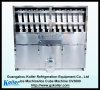 Ice Cube Machine CV3000 with Packing System and PLC program