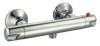 Thermostatic Shower Mixer