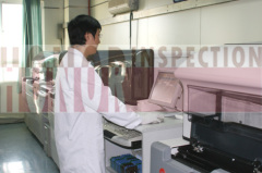 Inspection System