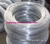 electro galvanized wire