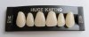 3 layers acrylic teeth KAIFENG