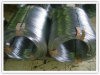 galvanized Steel Wire