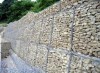 Gabion mesh