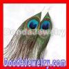 Fashion Natural Peacock Feather Earrings With Alloy Fishhook Wholesale