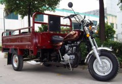 3 wheel motorcycle,Tricycle