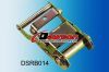 Ratchet Buckles China Manufacturers Supplier BS 2000KG 4000LBS DSTRO14