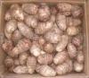 2011 New Crop Fresh Taro