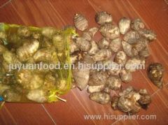 2011 New Crop Fresh Brown Taro