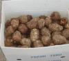 2011 New Crop Shandong Fresh Taro