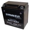 Sealed AGM battery (MGS series)