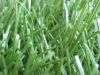 Welcome to see our hot sell artificial grass,2011 new products