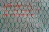 Hexagonal Wire Mesh