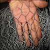 Hexagonal Twisting Wire Netting