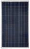 230W/30V Poly Solar Module