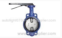 Double Shaft Butterfly Valve With Ductile Iron Disc
