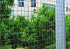 Dutch Fence Mesh