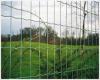 Euro Welded Fence