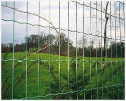 Euro Welded Fence