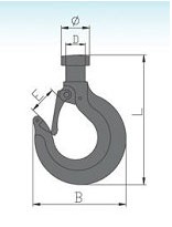 DS261 Chain Block Hook China Manufacturer Supplier