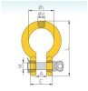 DS290 G80 Shackle China Manufacturer Supplier