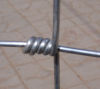 Barbed iron wire