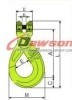 G100 Eurorean Type Clevis Self Locking Hook China Manufacturer Supplier