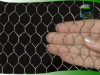 hexagonal wire mesh-2