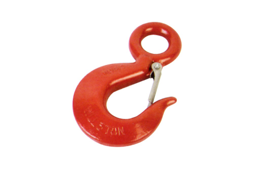 DS Eye Hooks With Latches China Manufacturer Supplier