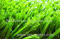 Artificial lawn grass turf