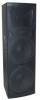 wooden cabinet speakers R215
