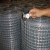 Hot-dipped Galvanized Welded Mesh Factory(Galvanized After Welded)