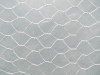 Galvanized Hexagonal Wire Mesh