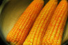 Frozen Corn from Vietnam