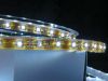 3528 LED strip lights