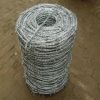 Galvanized Barbed Wire(China factory) manufacturer