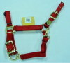 Pet Leash-DCDS005