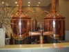 500l beer brewery equipment