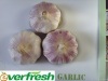 2011-Natural-Health-Fresh Normal white Garlic