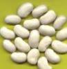 White Kidney Bean Extract