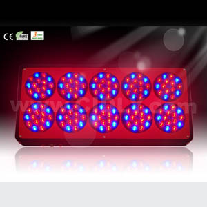 No.10 Apollo LED grow light