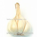 garlic extract Alliin