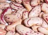 Chinese small red kidney beans