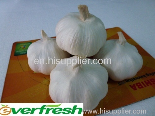 china health garlic
