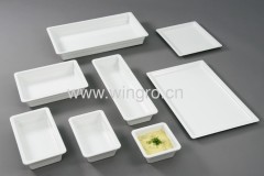 Melamine Buffet Display plates GN pans