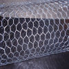 hexagonal wire mesh