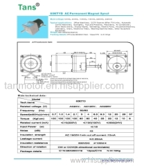 60MM AC PM Synchronous Motor