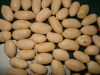 blanched peanut kernel