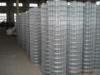 Hot -dipped Galvainzed welded wire mesh (factuary )