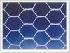 Hexagonal wire mesh